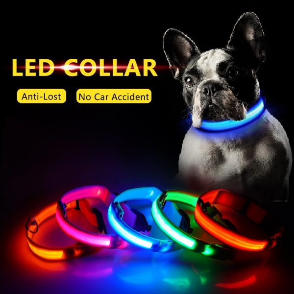 Led Dog Collar